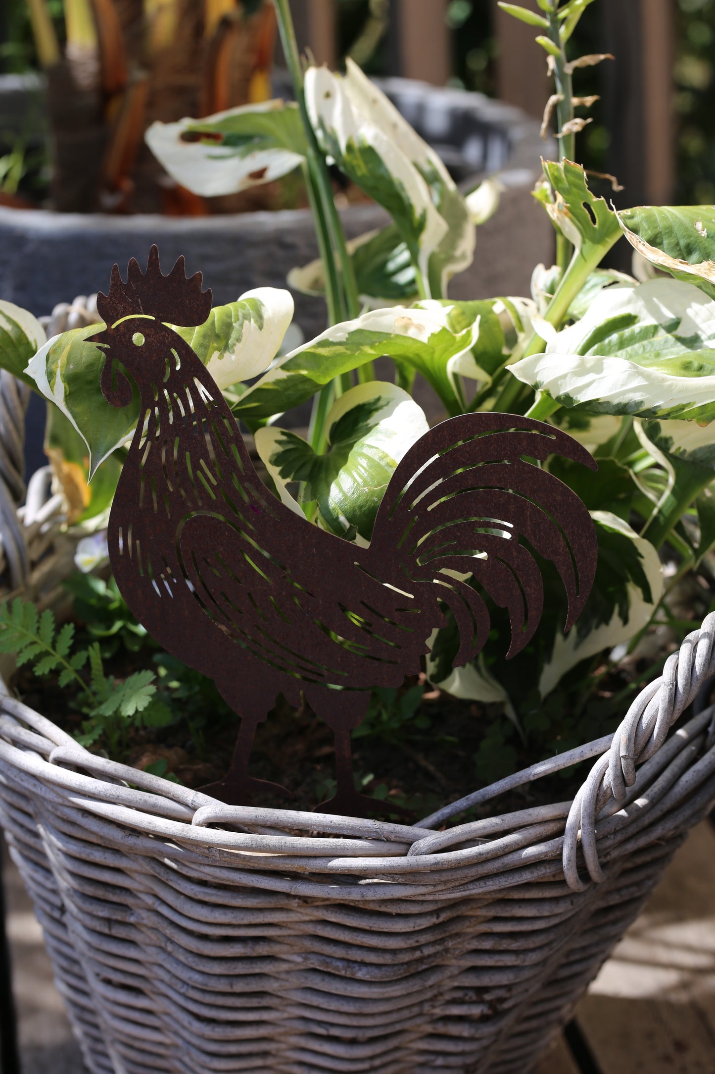 Metallhahn – dekorative Gartendeko