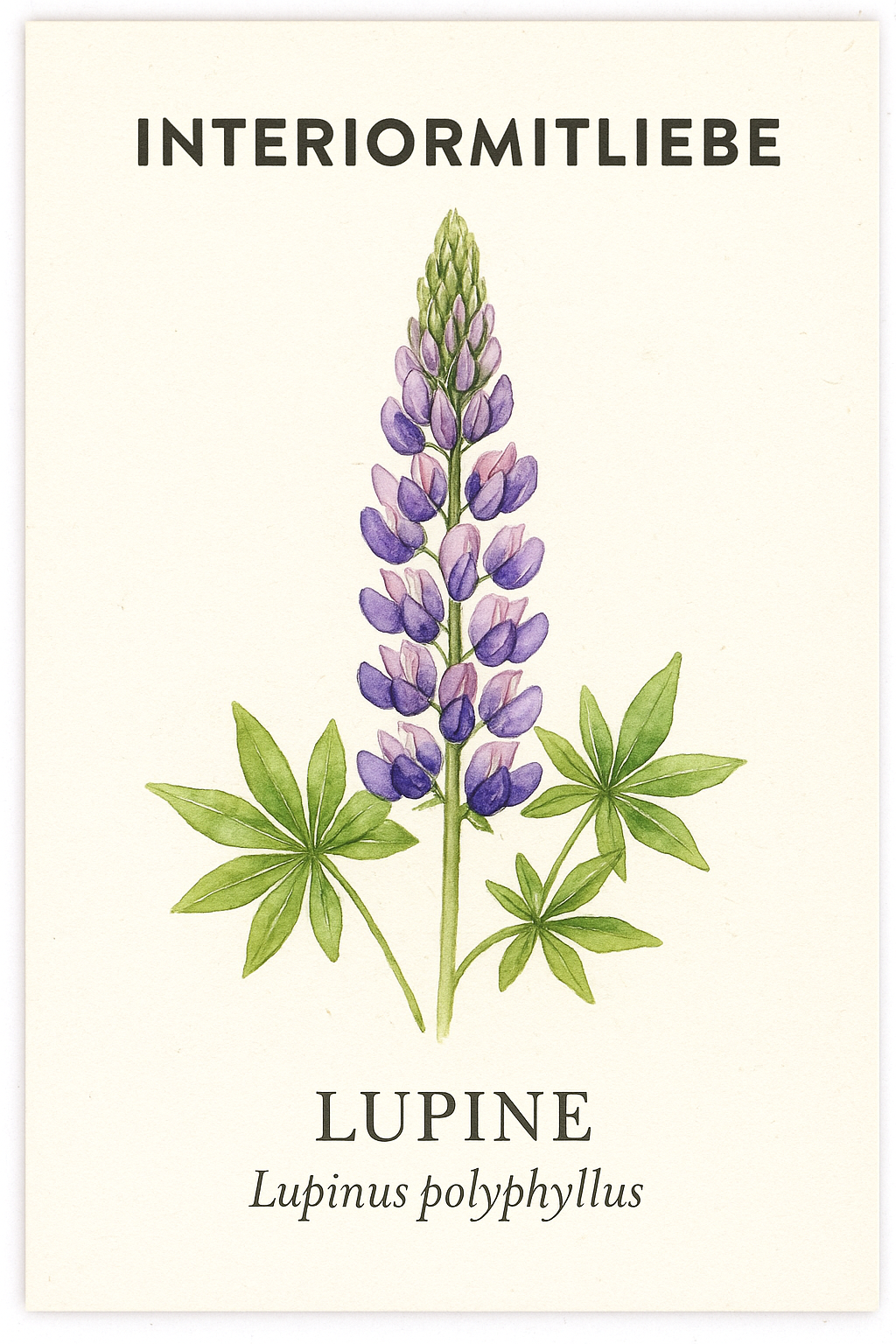 Blaue Lupine (Lupinus polyphyllus) – Farbenfroher Blickfang für den Garten