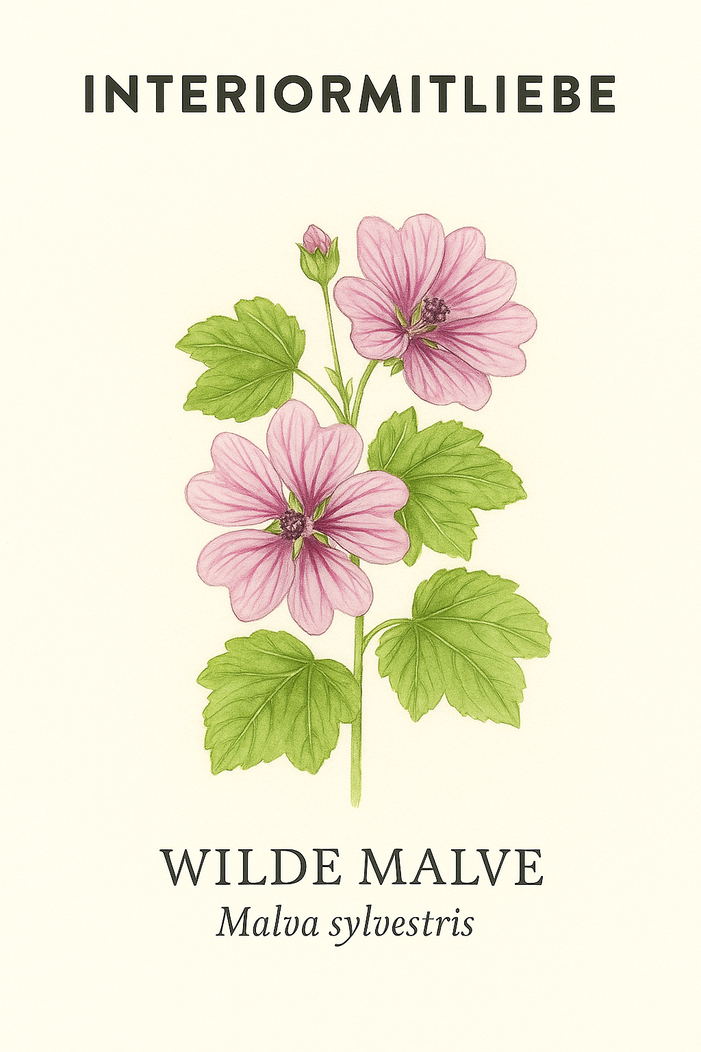 Wilde Malve – natürliche Schönheit für Garten und Balkon