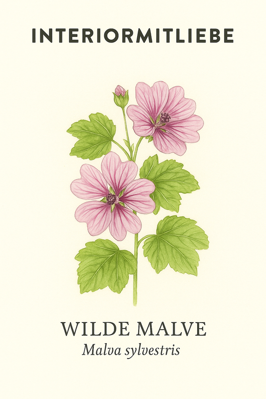 Wilde Malve – natürliche Schönheit für Garten und Balkon