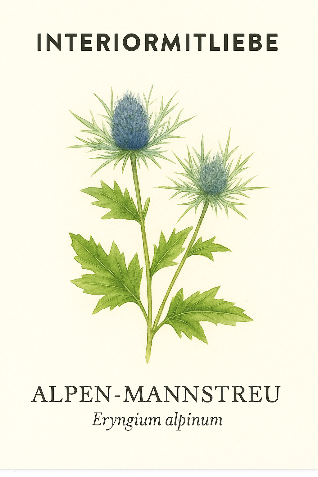 Blauer Alpen-Mannstreu – Eryngium alpinum - stahlblauer Bienentraum