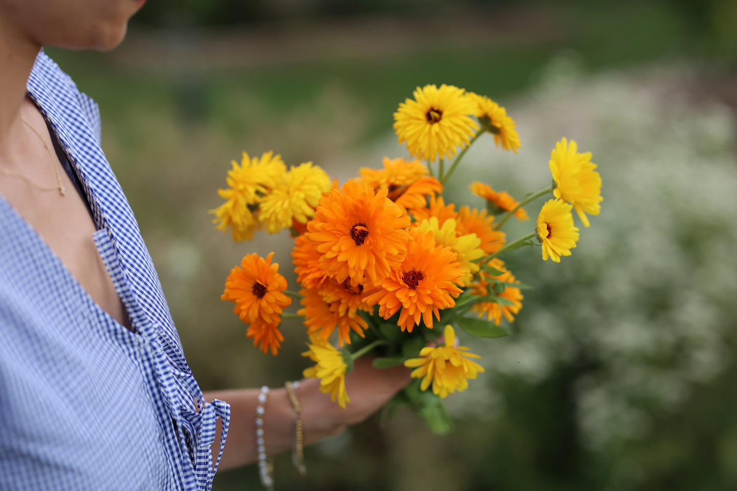 Ringelblume bunter Mix – farbenfroher Klassiker für Beet & Balkon