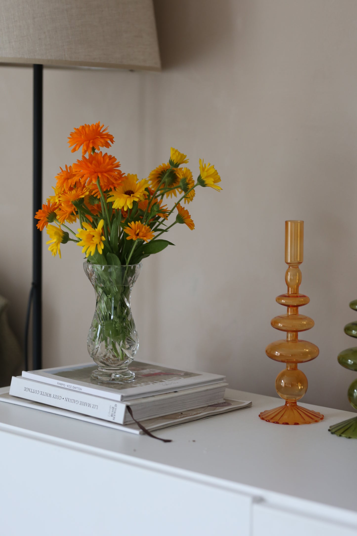 Ringelblume bunter Mix – farbenfroher Klassiker für Beet & Balkon