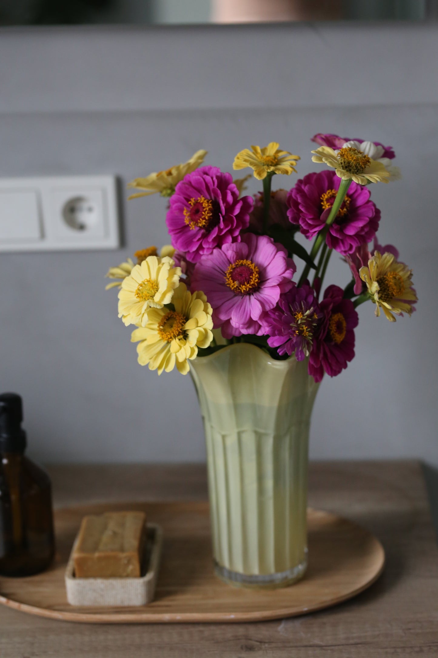 Bunte Zinnien Mischung – farbenfrohe Sommerblumen | Zinnien Samen für Beet, Balkon & Schnittblumen