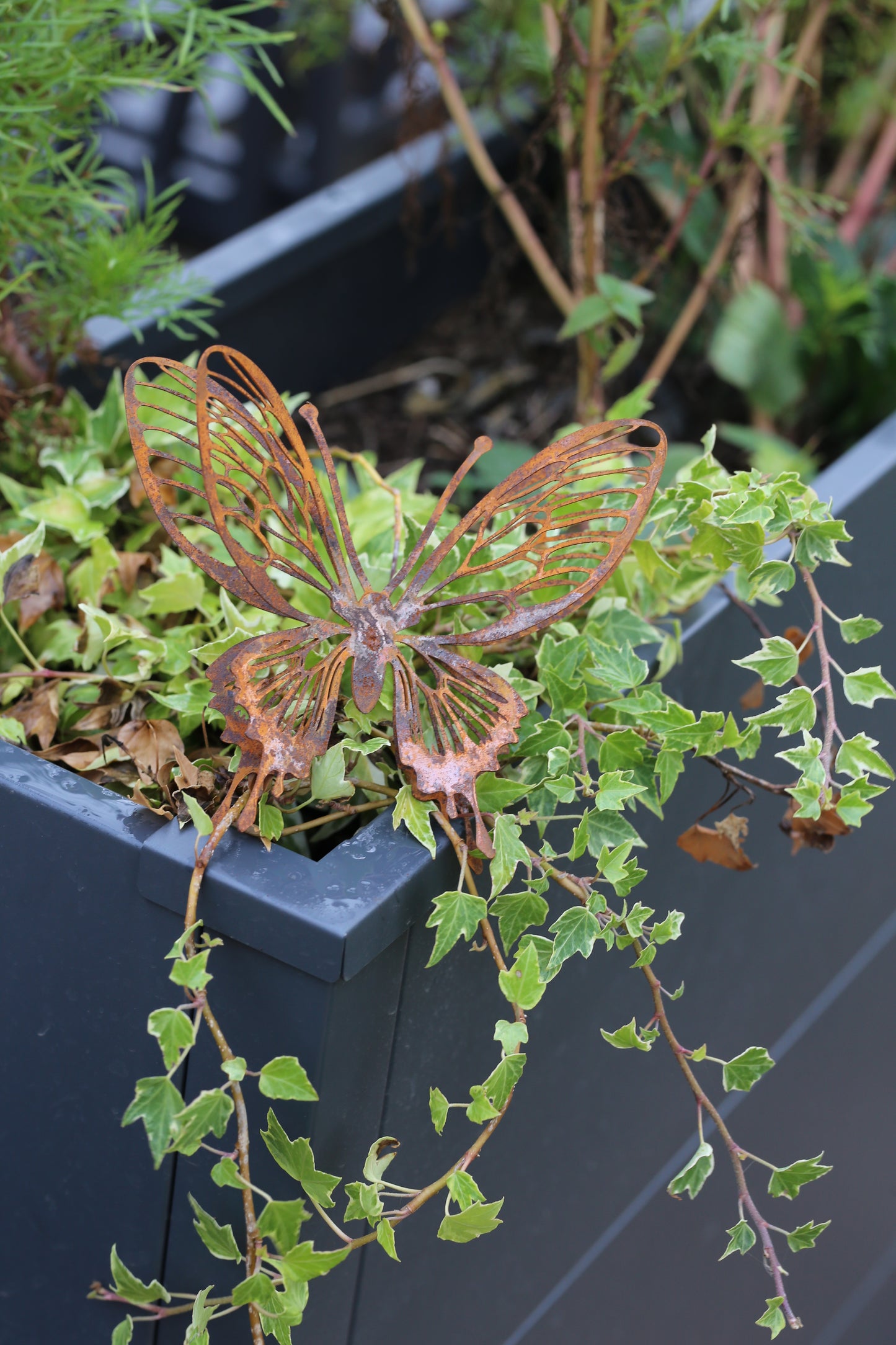 Metall Schmetterling Sommer Deko Metall Rostoptik – dekorative Gartendeko