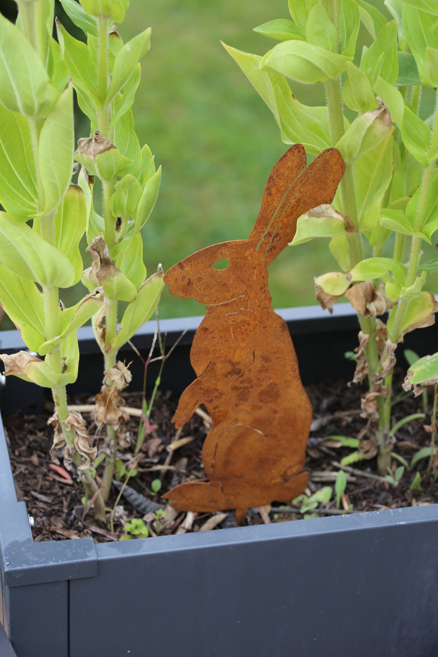 Metallhase Hase Metall Rostoptik – dekorative Gartendeko