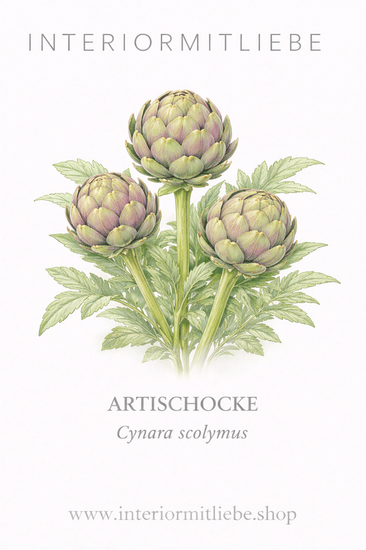 Artischocke (Cynara cardunculus)