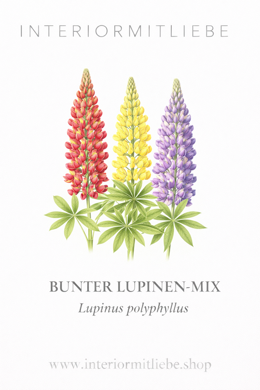 Bunter Lupinen Mix mehrjährig – Farbenfroher Blickfang für den Garten
