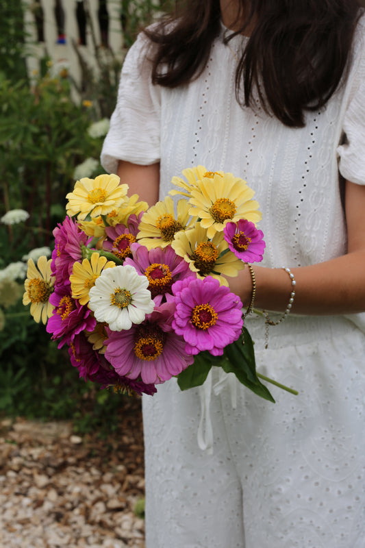 Bunte Zinnien Mischung – farbenfrohe Sommerblumen | Zinnien Samen für Beet, Balkon & Schnittblumen