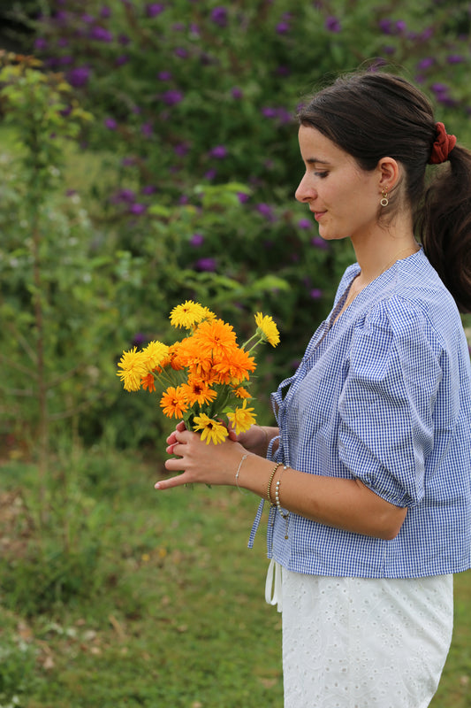 Ringelblume bunter Mix – farbenfroher Klassiker für Beet & Balkon